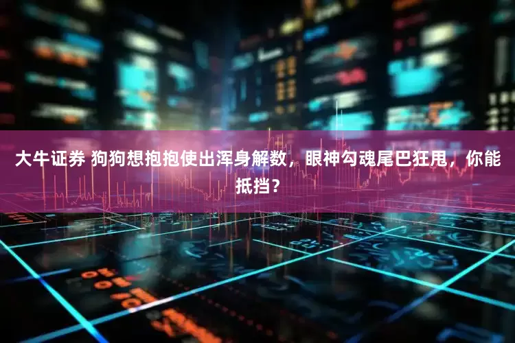 大牛证券 狗狗想抱抱使出浑身解数，眼神勾魂尾巴狂甩，你能抵挡？