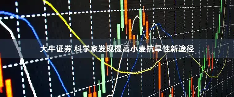 大牛证券 科学家发现提高小麦抗旱性新途径